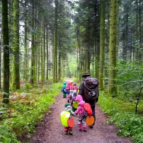 Einblick in den Waldkindergarten Handewitt e.V.